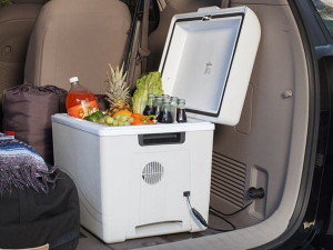 Як обрати портативний холодильник?
