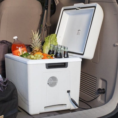 Як обрати портативний холодильник?