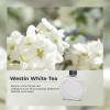 Ароматизатор для аромадиффузора Essential oil White Tea by The Westin 50мл (XXJ007-Whi)