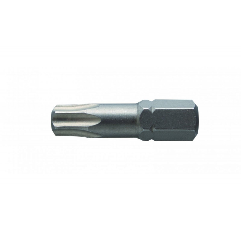 Біти TORX 30 25 мм сталь S2 2 шт Hogert (HT1S366)