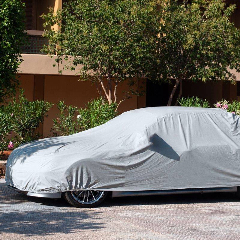 Тент автомобильный XL 540*175*120