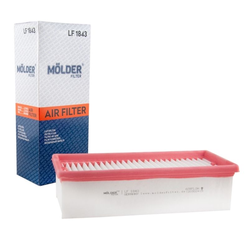 Повітряний фільтр панельний Molder DACIA RENAULT (WA9690 LX1953 C27010 AP1349) LF1843