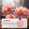 Ароматизатор для аромадиффузора Essential oil of Gardenia 50мл (XXJ007-Gar)