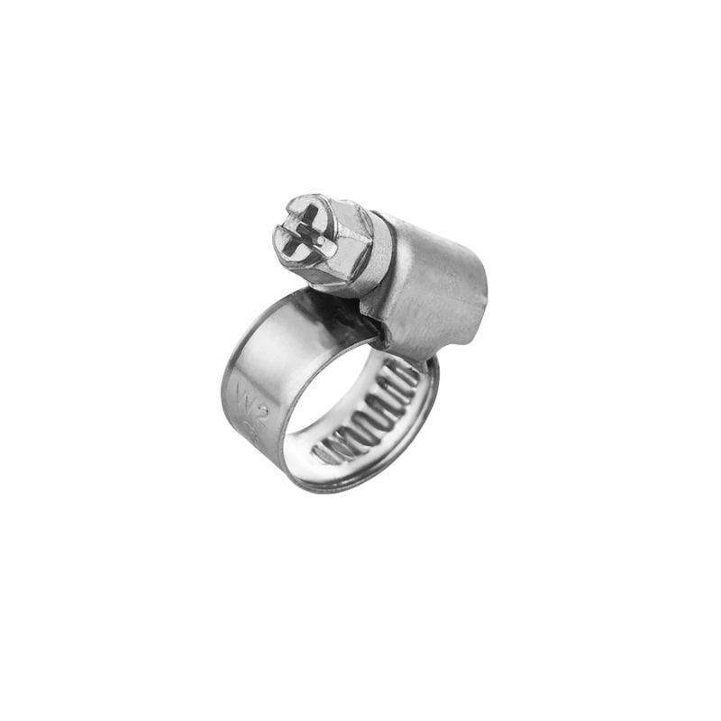 Хомуты червячные 6-10мм W2 Molder 100шт (MA40010)