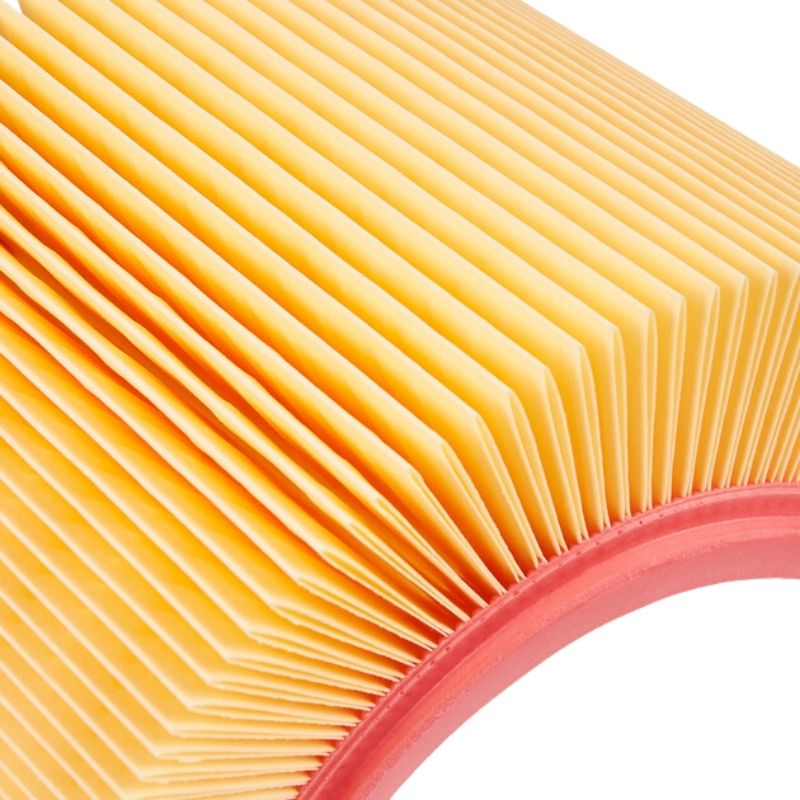 Повітряний фільтр панельний Molder RENAULT (WA9655 LX1748 C25115) LF1638