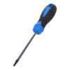 Отвертка Torx T20 100 мм сталь S2 Hogert (HT1S055)