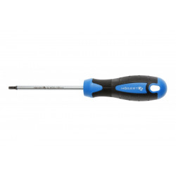 Викрутка Torx T25 100 мм сталь S2 Hogert (HT1S056)