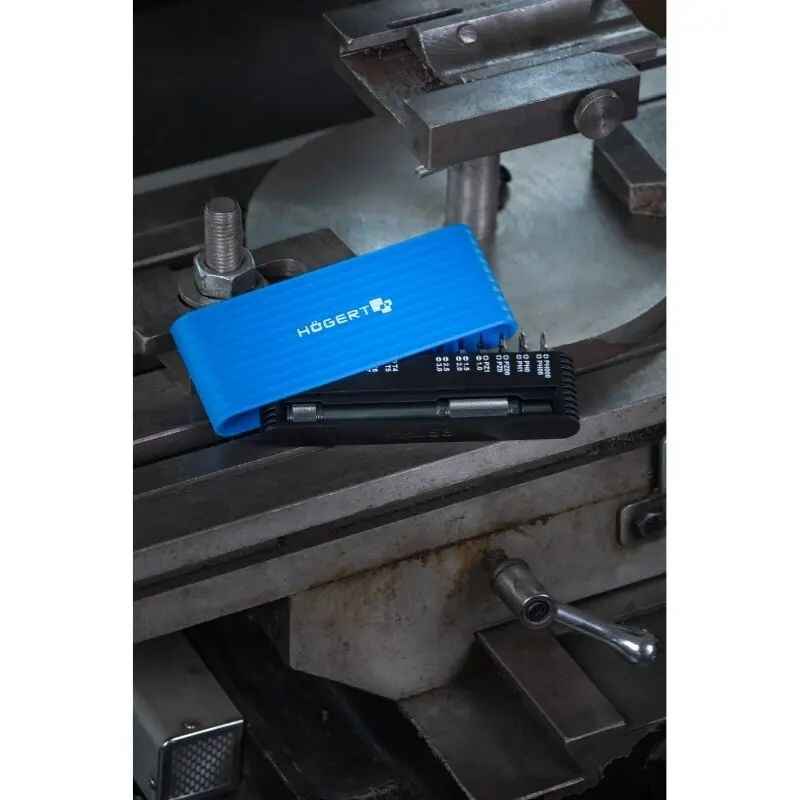 Набор бит 1/4" 25мм CrV PH PZ SL HEX Torx 25шт с битодержателем Hoegert (HT1S273)